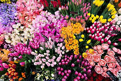 Switch二次元射击游戏新作《天使狙击》12月发售